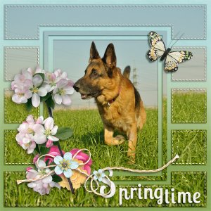 Springtime