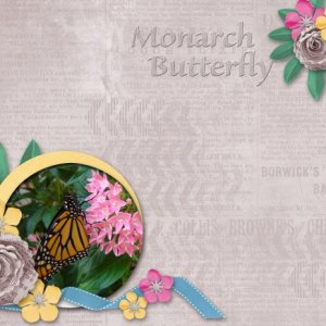 Monarch