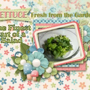 Lettuce