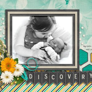 Discovery