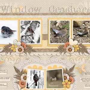Window Crashers
