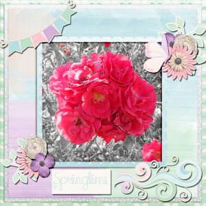 Spring Flowers