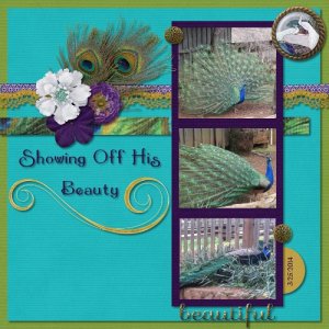 Peacock