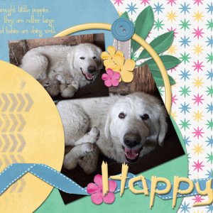 Happy