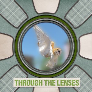 Through the Lenses