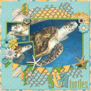 turtles