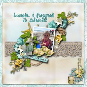 Look_I_found_a_shell