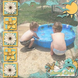 Sunny Days