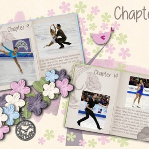 Chapters