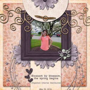 Blossom by blossom, the spring begins