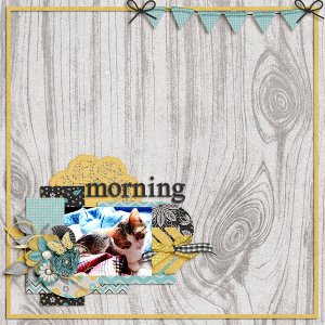 morning time
