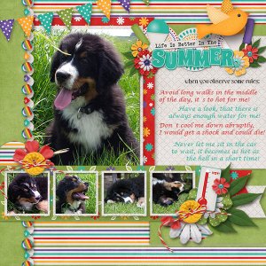 SummerRules