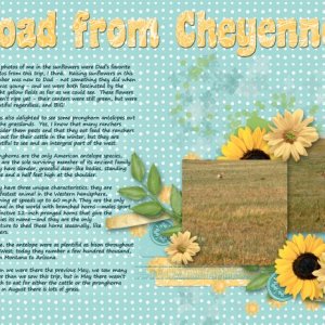 On the Road from Cheyenne