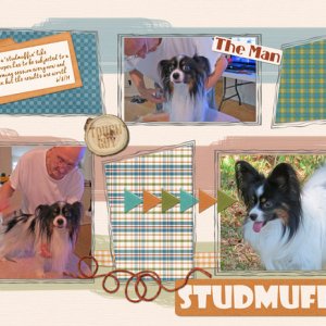 Studmuffin
