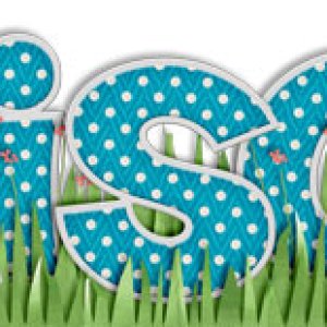 Summer Siggie