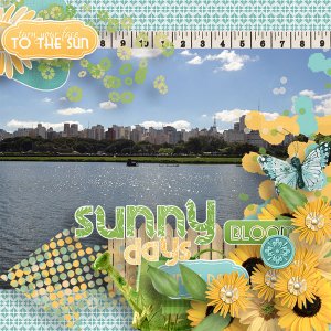 Sunny Days