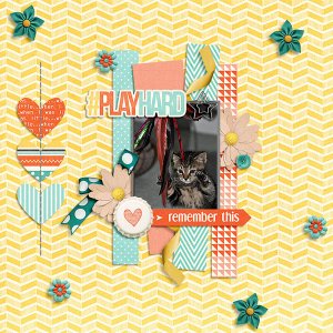 playhard
