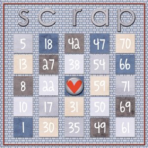 Jan's Bingo Card June 13-2014