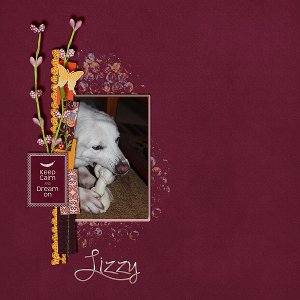 Lizzy