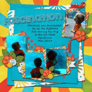 Fascination