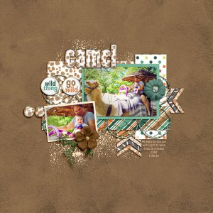 Camel Ride