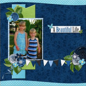 a beautiful life
