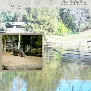 Hippo
