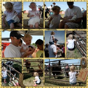 baby animal days 4