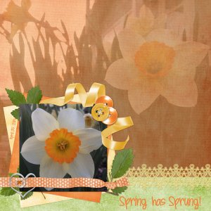 Spring has Sprung!