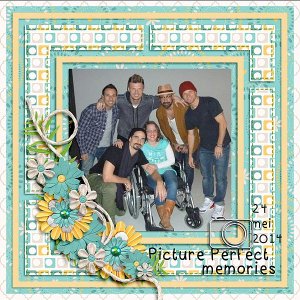 Picture Perfect Memories