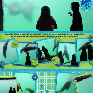 Sea Lions