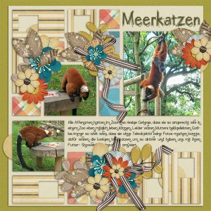 Meerkatzen