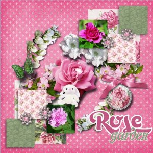 Rose_garden