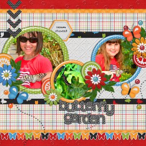 butterfly garden