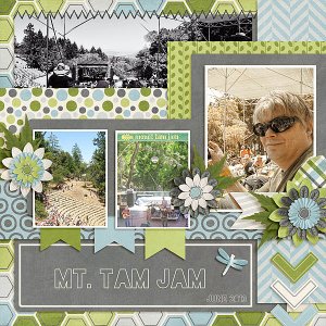 2014-06 font MtTamJam
