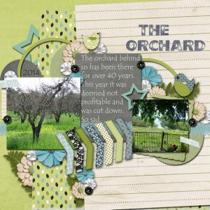 The Orchard
