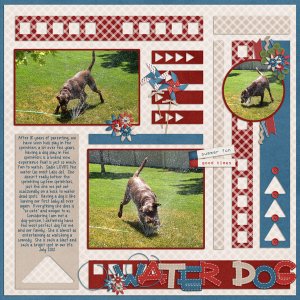 Water-DogWEB