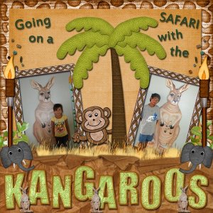 Going on a Sarfari with the Kangaroos