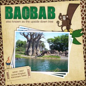 Baobab