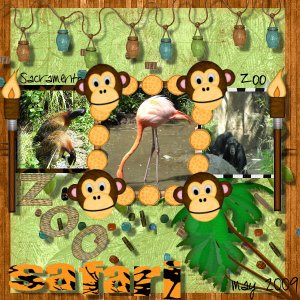 Zoo Safari