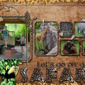 Safari