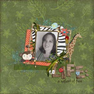 my life: a safari of fun
