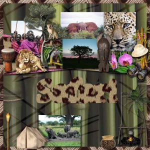 Safari