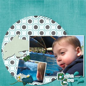 Dolphin Cove