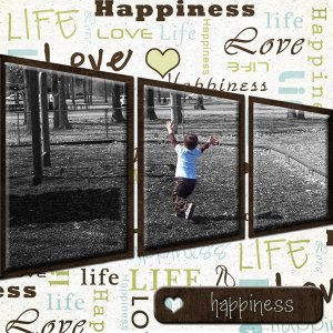 Happiness