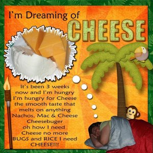 I'm Dreaming Of Cheese
