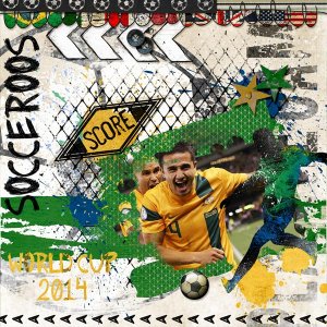 World Cup 2014