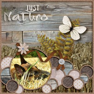 Just nature