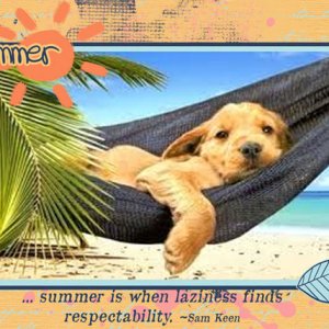 Summer