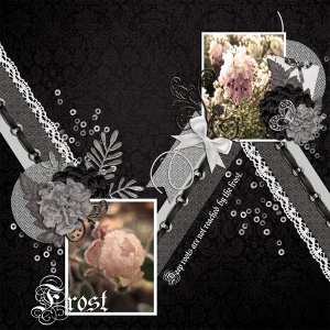 Frost